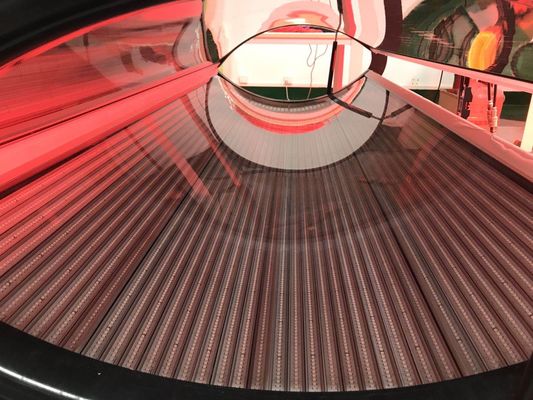 減量のための光力学の赤灯療法のベッド635nm 850nm
