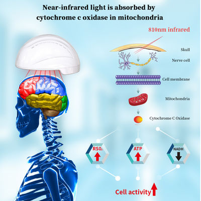 810nm Alzheimerの改良のための赤外線LEDライトPhotobiomodulationのヘルメット