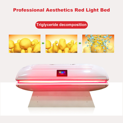 ボディ彫刻のための光力学PDTの赤灯のコラーゲンのベッド