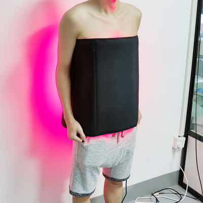 腰痛の減少のための光力学PDTの深い浸透の赤灯療法のパッド