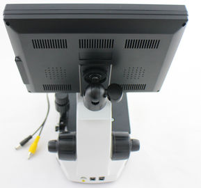 CCD のビデオ・カメラとの専門の Microcirculation の顕微鏡/爪郭の毛管顕微鏡検査